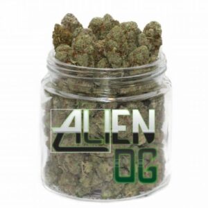 Acheter du cannabis Alien OG en ligne sur ABD en Europe. Hybride puissant, livraison discrète !