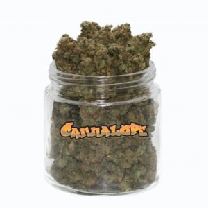 Acheter du cannabis Cannalope Haze en ligne sur ABD en Europe. Sativa énergisante, saveur melon, livraison discrète !
