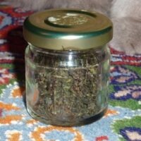 Acheter Changa DMT ne ligne